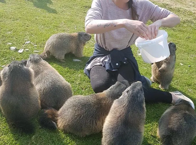 Holiday home Ferienhaus Stoiser